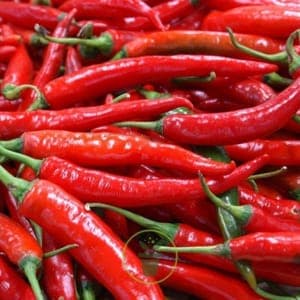 Piments de Cayenne - Echelle de Scoville 8