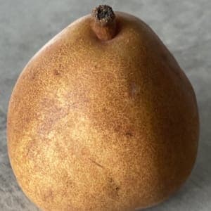 11 - Fruits