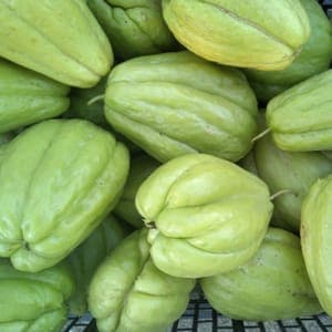 Christophine (Chayote)