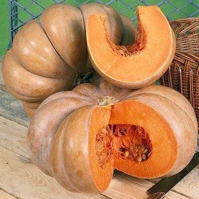 courge "bleue de Hongrie" ( au kilo)