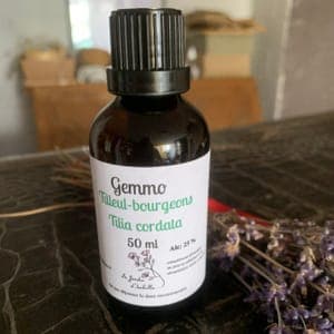 Gemmothérapie Sapin