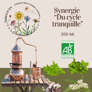 Synergie du cycle tranquille