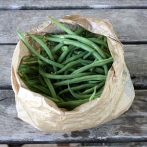 Haricot Vert
