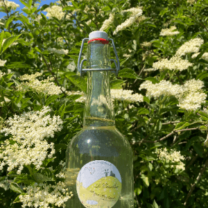 sirop de fleurs de sureau