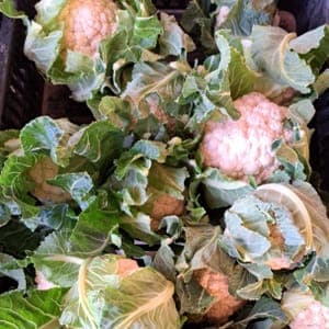 chou fleur