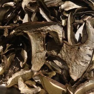 Champignons de Corrèze secs