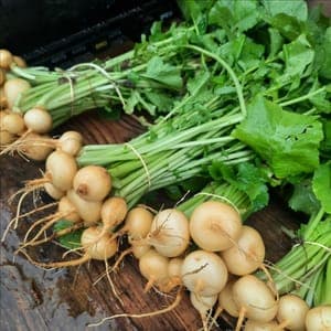 Minis navets jaunes en botte (prêts à poêler !)