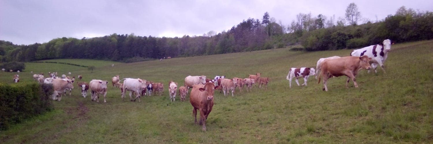 Bannière de GAEC de la Recluse