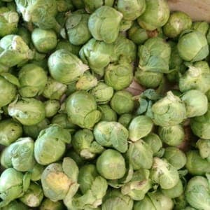Chou de Bruxelles