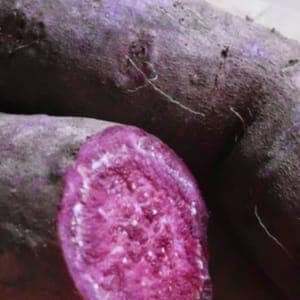 patate douce violette