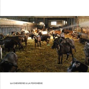 L'exploitation #2