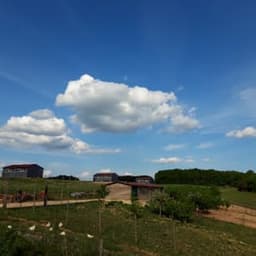 GAEC DES ECHAZETS  #2