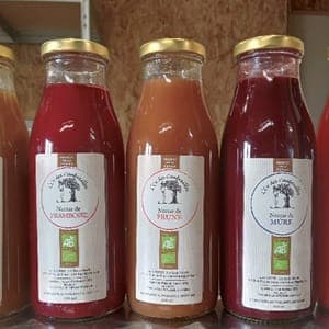 Nectar de Prune