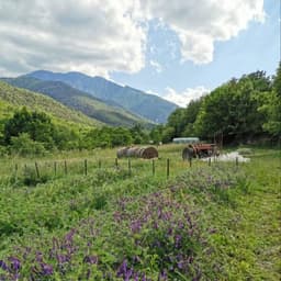 Logo de "Les demains dans la terre" - Egat