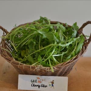 roquette