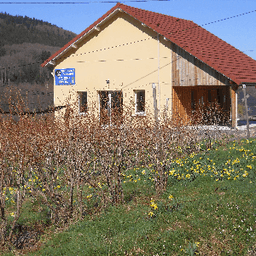 le pré des fruits #7