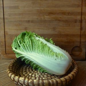 Chou chinois Petsaï (pommé)