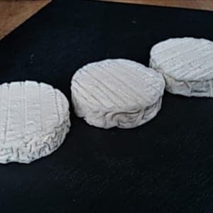 Lot de 3 cabécous