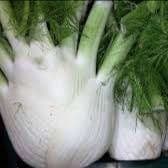 Fenouil