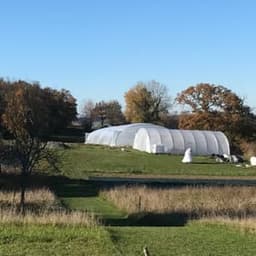 Les Jardins des Fougères #3