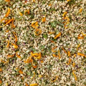 GOMASIOS MELODIE DU BUGEY