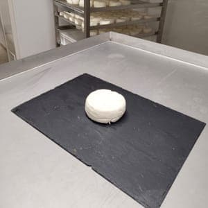 Gros palet de chèvre frais