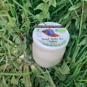 Yaourt de brebis aromatisé à l 'Aurone ( goût Cola)
