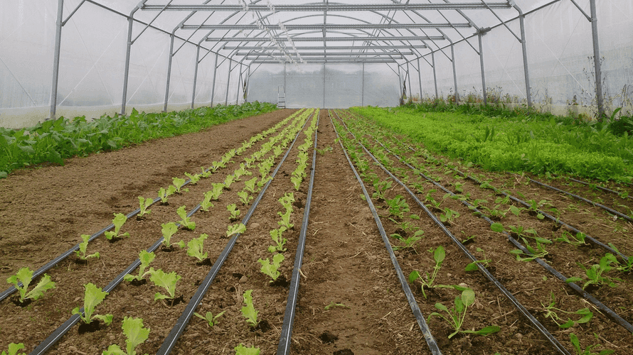 Bannière de la ferme des 3 sources