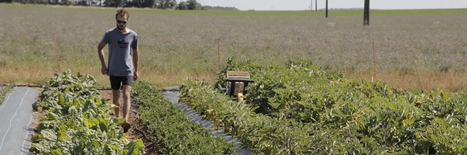 Bannière de Ferme de la Fougère