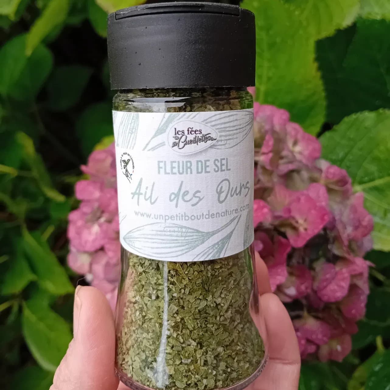 Fleur de sel à l'ail des ours