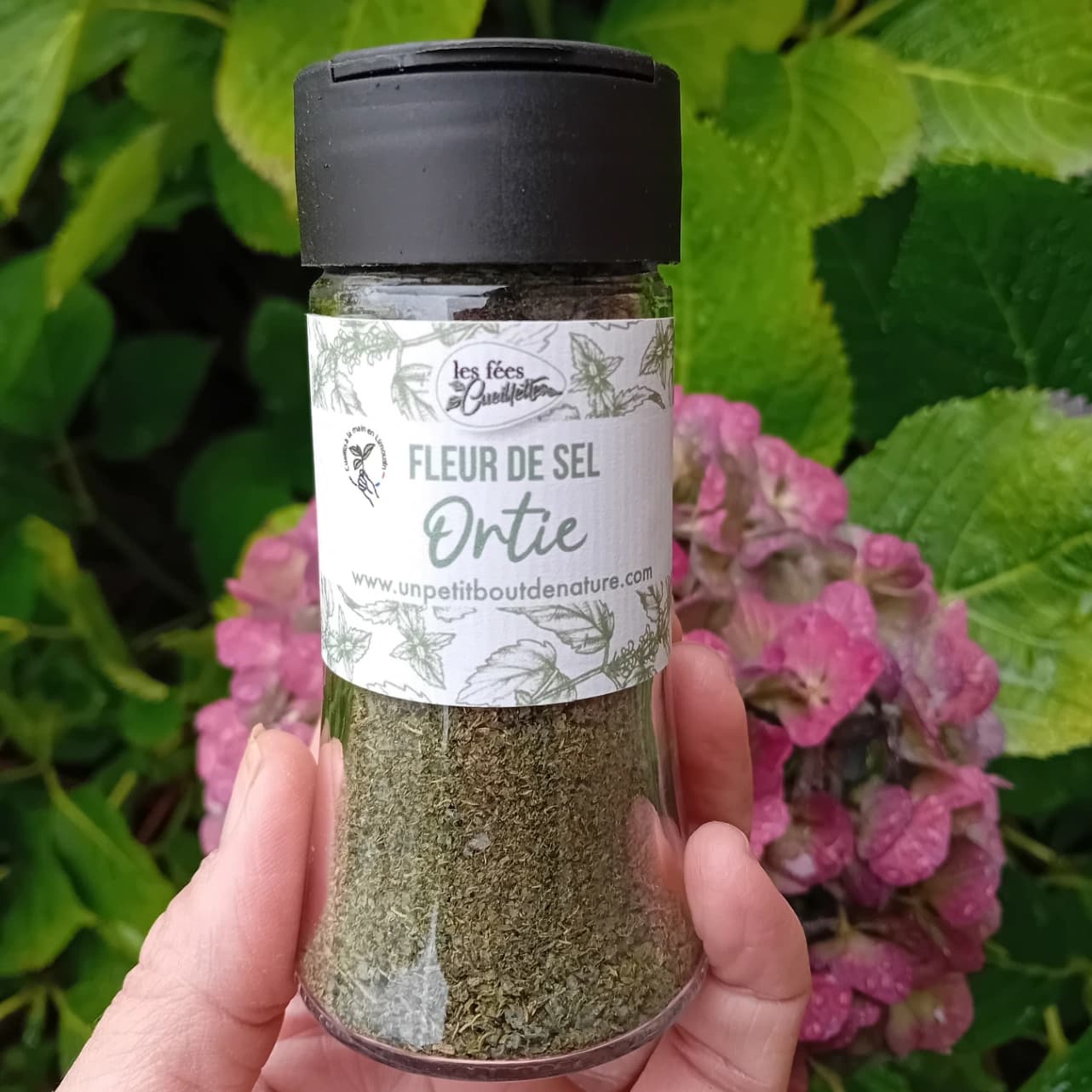 Fleur de sel à l'ortie