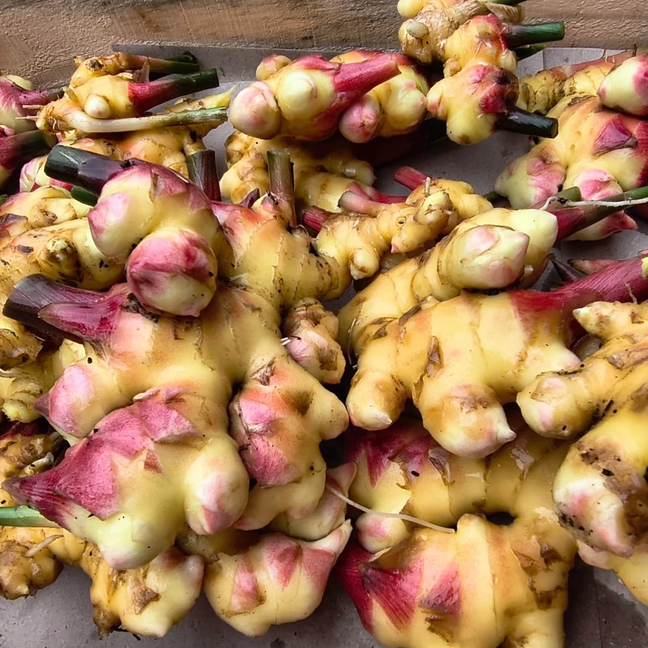 gingembre bio et local !