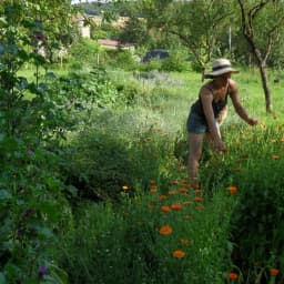 La petite sauvageonne #2