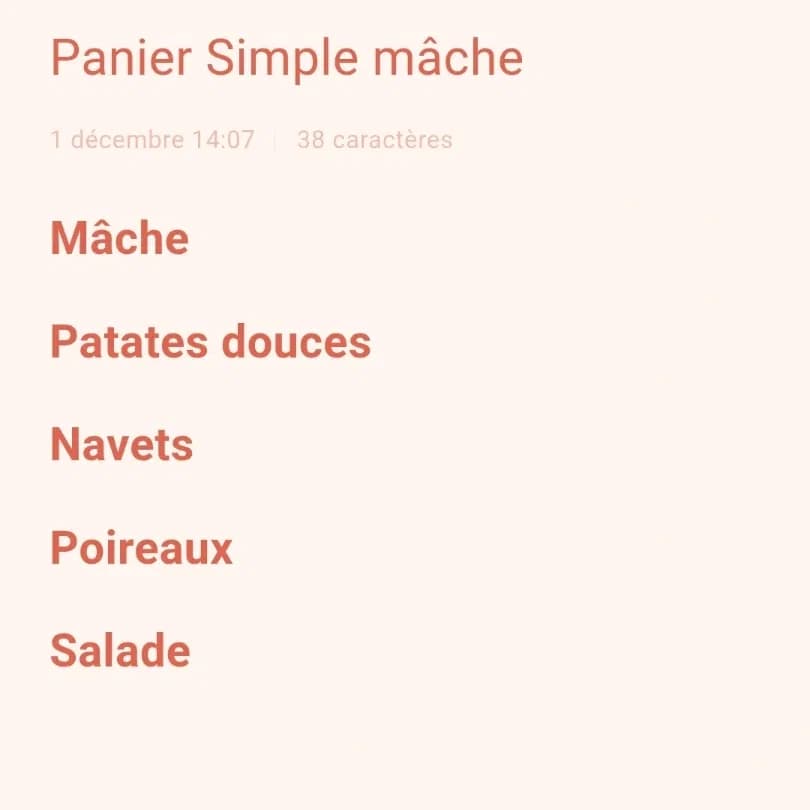 Panier simple mâche 