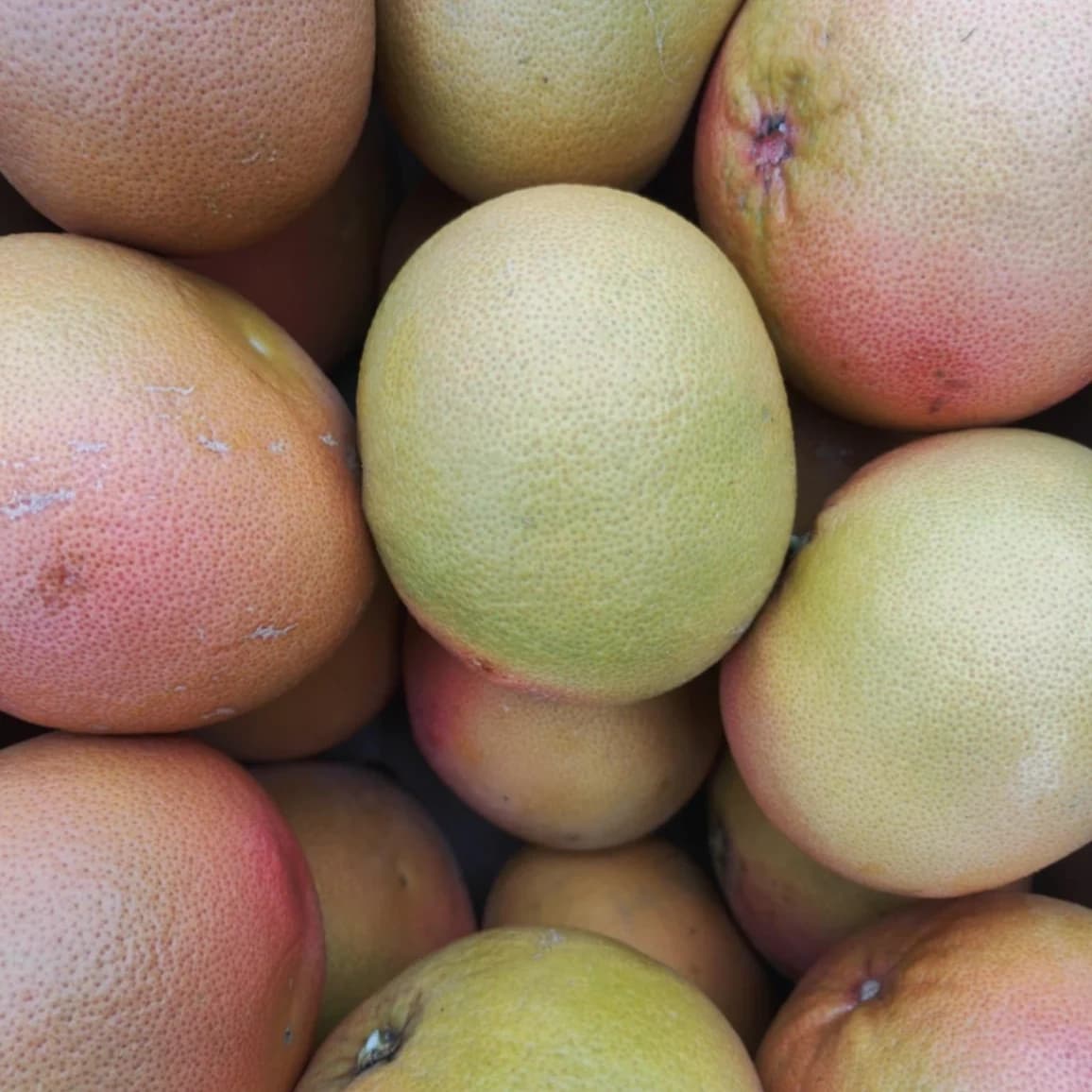 Pomelo rose Star ruby