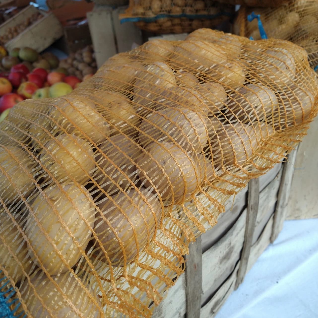 Pomme de terre en filet de 5 kg