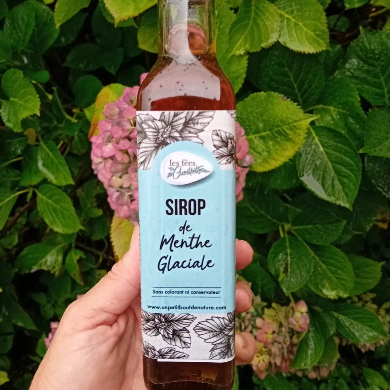 Sirop de menthe 25 cl