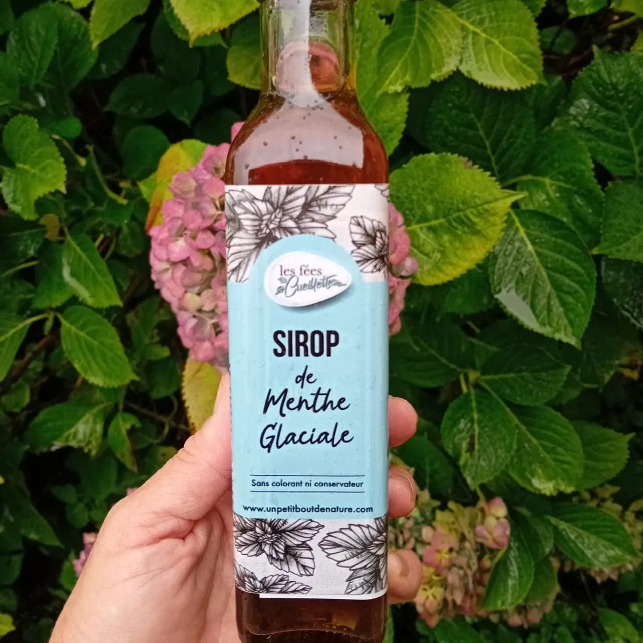 Sirop de menthe 50 cl