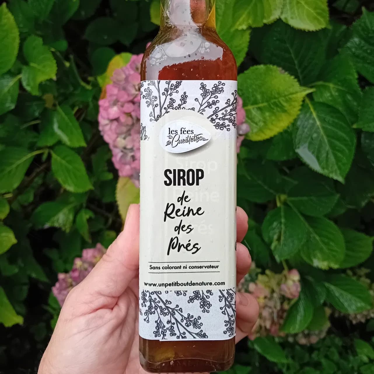 Sirop de reine des prés 50 cl