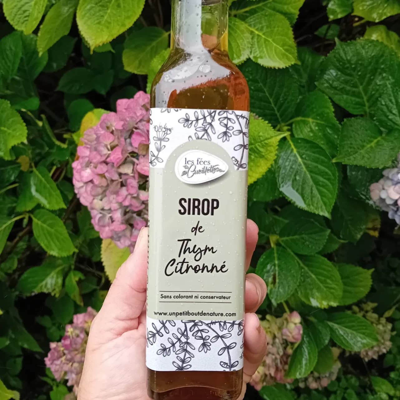 Sirop de thym citron 25 cl