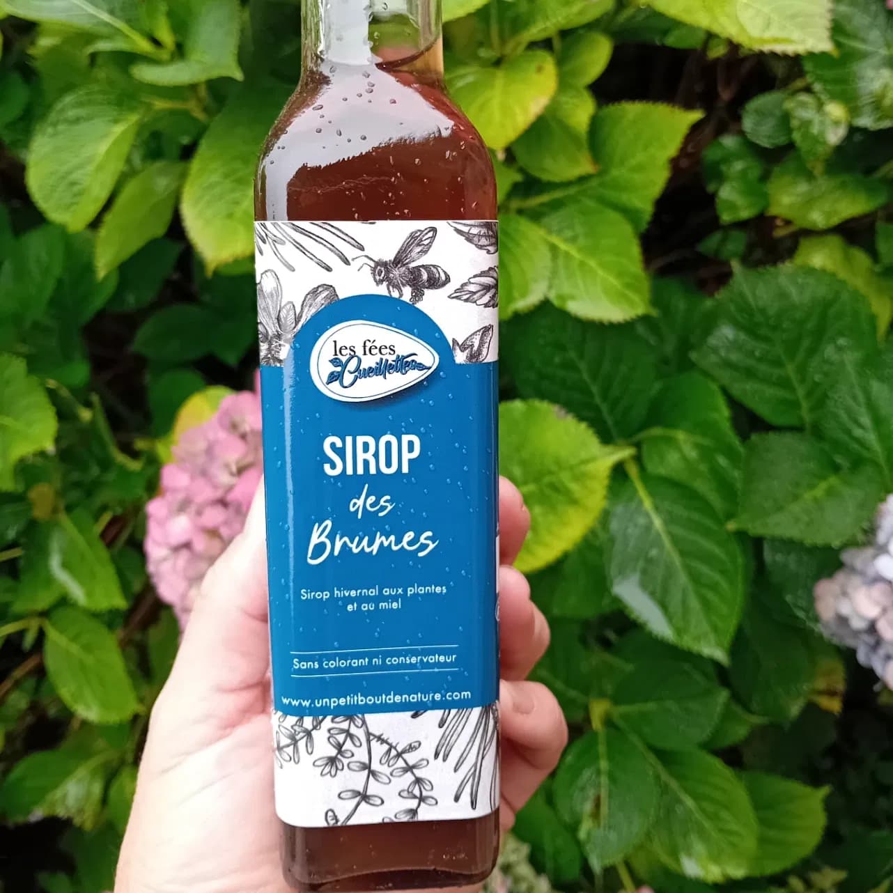 Sirop des brumes 25 cl