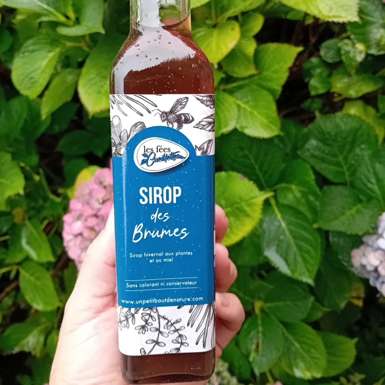 Sirop des brumes 50 cl