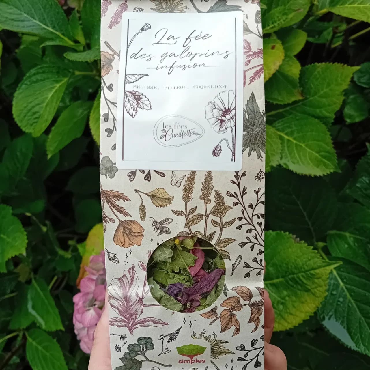 Tisane la fée des galopins