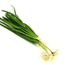 Oignon Botte Frais