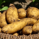 Pomme de Terre