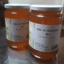 Miel de printemps bio 500g