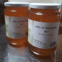 Miel de printemps bio 1kg