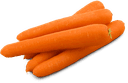 Carottes