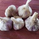 Ail violet sec - VRAC