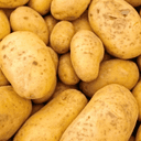 Pomme de terre Bio